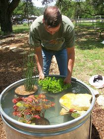 a man standing in front of a barrel filled with water and plants on top of it