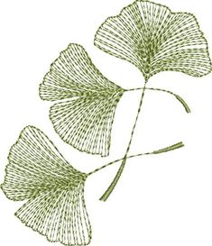 two ging sprouts are shown in the shape of leaves