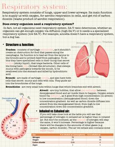 an info sheet describing the anatomy of the human body and how to use it for medical purposes