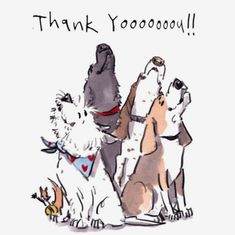 a group of dogs standing next to each other in front of a thank you card