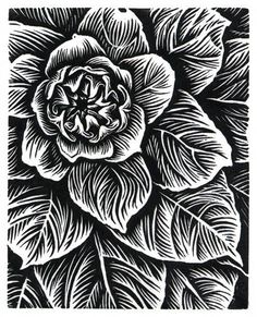 a black and white drawing of a flower with leaves on the bottom, against a dark background