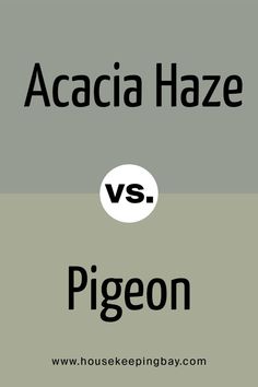 Acacia Haze vs Pigeon by Sherwin Williams Pigeon Paint Color, Pigeon Color, Green Grey Paint, Sage Green Paint