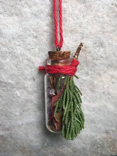 a glass jar filled with pine cones and other things hanging from a red string on a wall