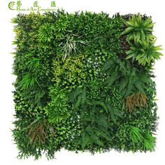 an image of a green wall with plants and grass on it's sides, in the