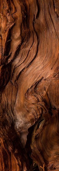 a bird sitting on top of a piece of wood that has been carved into it