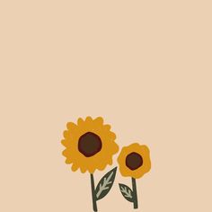 two yellow sunflowers on a beige background