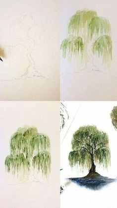 four different stages of drawing a weeping tree