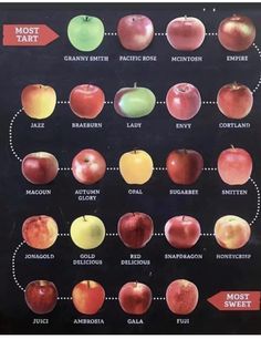 an old poster shows the different types of apples