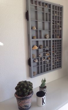 a potted plant sitting on top of a white table next to a wall mounted shelf