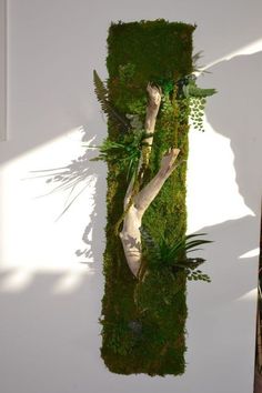 moss covered wall hanging in the shape of a rectangle with trees and plants on it