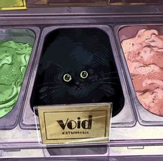 an ice cream display with a black cat in the middle