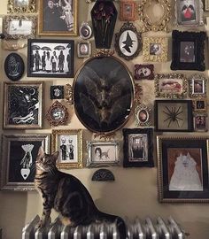 a cat sitting on top of a radiator in front of a wall covered with pictures