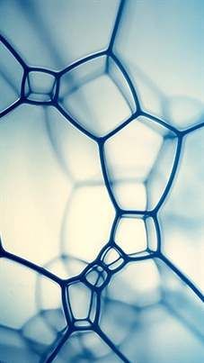 Bubbles Macro Fotografie, Photo Macro, Organic Structure, Iphone 5 Wallpaper, Natural Structures, Pattern Texture, Natural Forms, Patterns In Nature