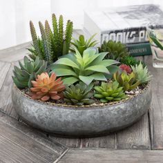 Galvanized Silver Metal Planter Bowl w/ Brass-Tone Pebbled Rim-MyGift Flowers And Succulents, Succulent Bowls, Succulent Garden Design, Succulent Garden Diy, Countertop Surfaces, Succulents Plants, Succulent Gardening, Ceramic Flower Pots, Metal Planters