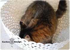 a cat is sitting in a white basket