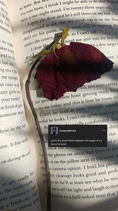 an open book with a dead flower on it