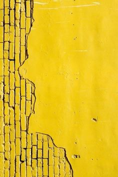 a yellow wall with cracks in it and a white bird sitting on top of it