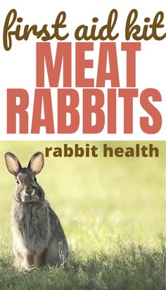 a rabbit sitting in the grass with text overlay reading first aid kit meat rabbits rabbit health