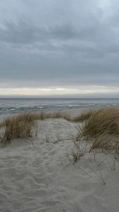 the beach is covered in sand and grass