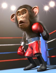 a monkey with boxing gloves standing in the ring