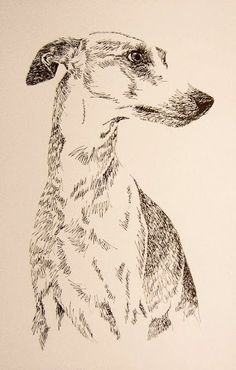 a black and white drawing of a dog