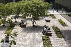 two people sitting on benches in the middle of a courtyard with trees and plants around them