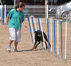 a woman is playing frisbee with her dog in the sand near some poles