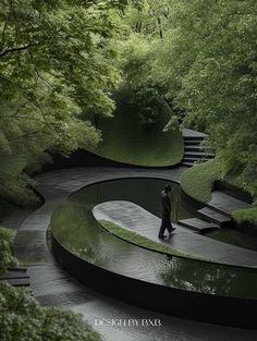 a man walking down a path through a lush green forest