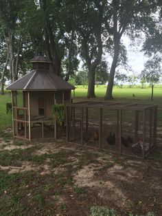 several chickens in a fenced off area next to a chicken coop and tree with grass on the ground