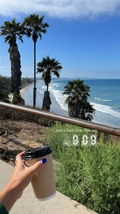 a person holding a coffee cup with the ocean and palm trees in the back ground