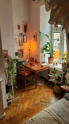 a room filled with lots of plants and a desk in the corner next to a window