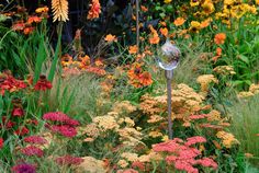 a garden filled with lots of colorful flowers