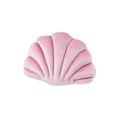 a pink scallop on a white background