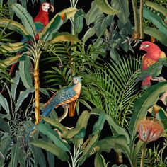 a group of colorful parrots sitting on top of green leaves and plants in the jungle