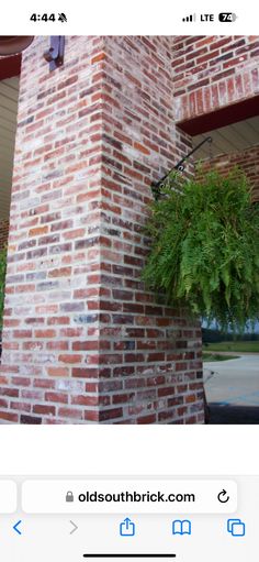 an old brick building with a plant hanging from it's side