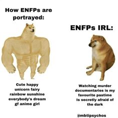 28 Funny Memes Any ENFP Will Relate To | So Syncd Right Meme, Dora Funny, Meme Show, Personality Characteristics, Mbti Personality