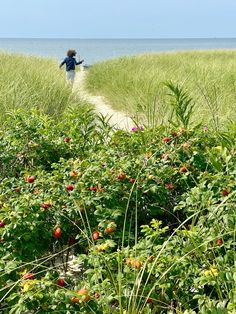 Immerse yourself in the beauty of coastal living with our thoughtfully curated collection. From table accessories to tableware, home decor, clothing, and women's accessories, discover a range of exquisite products that celebrate our love for Cape Cod.