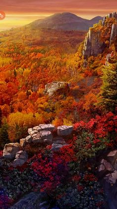 an autumn scene with colorful trees and mountains