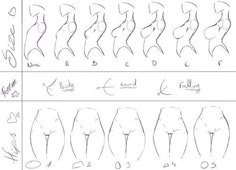 how to draw female butts step by step