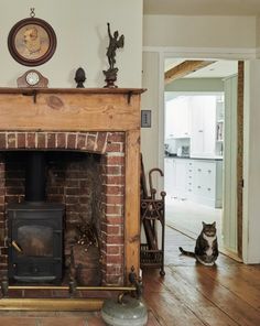 a cat sitting on the floor next to a fire place in a room with wood floors