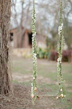 two white flowers hanging from the branches of a tree in front of a building with vines on it