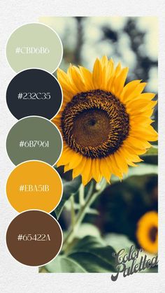 a sunflower is shown with the names in different colors and sizes, including brown, green