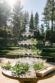 a table topped with lots of wine glasses filled with greenery next to a park