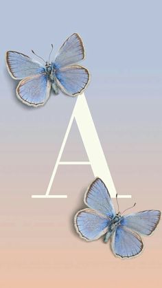 two blue butterflies sitting on top of each other in front of a pink and white background