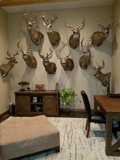 there are many deer heads mounted on the wall