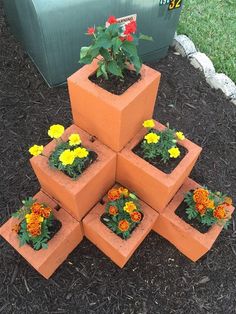 there are many small flower pots in the ground with flowers growing out of them and on top of each other