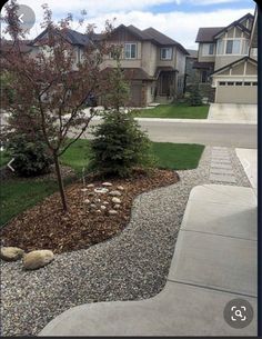 there is a small tree in the middle of this yard with rocks and gravel around it