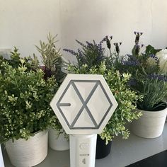 an electronic device sitting on top of a table next to potted plants