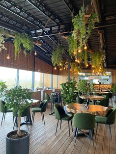 an indoor restaurant with plants hanging from the ceiling