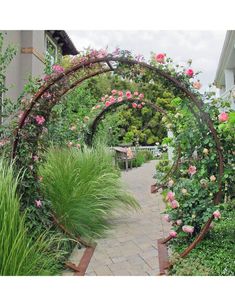 a garden with lots of pink flowers and greenery